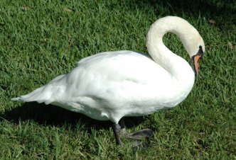 Orlando - Florida - USA